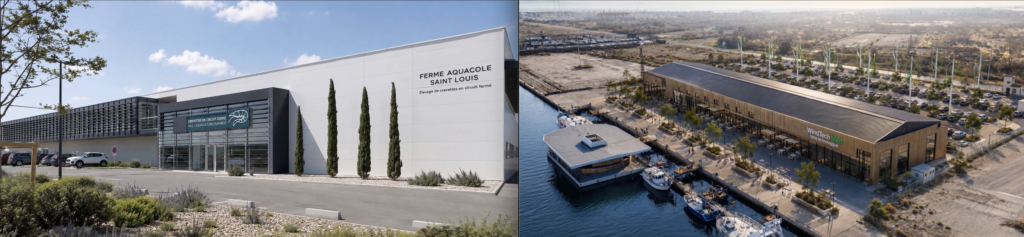 Visualisation photoréaliste générée par intelligence artificielle de la future ferme aquacole et du bâtiment Windtech Med au Pôle Nautisme Mer de Port-Saint-Louis-du-Rhône.