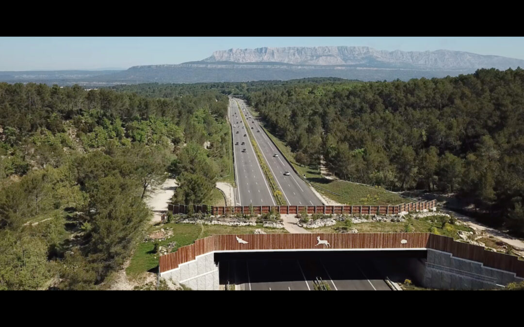Écopont de Fuveau sur l’autoroute A8 – suivi de chantier ESCOTA