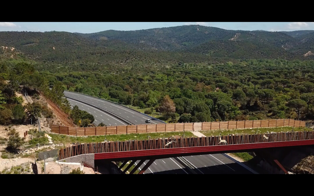 Écopont de Vidauban sur l’autoroute A8 – suivi de chantier ESCOTA